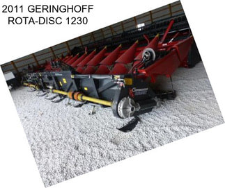 2011 GERINGHOFF ROTA-DISC 1230