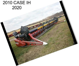 2010 CASE IH 2020