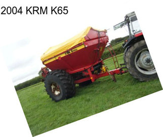 2004 KRM K65