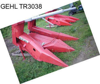 GEHL TR3038