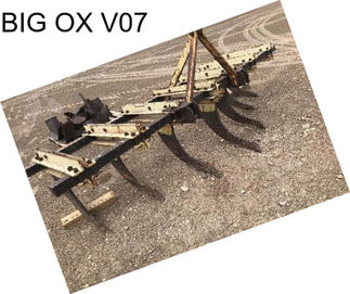 BIG OX V07