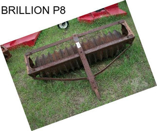 BRILLION P8