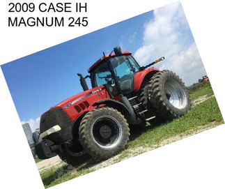 2009 CASE IH MAGNUM 245