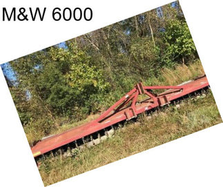 M&W 6000