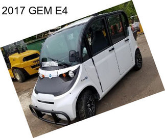 2017 GEM E4