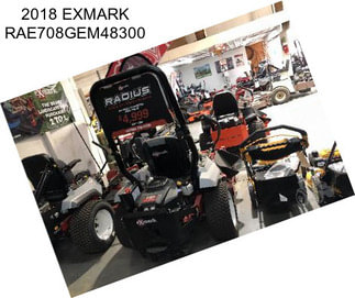 2018 EXMARK RAE708GEM48300