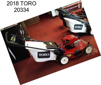 2018 TORO 20334