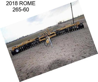2018 ROME 265-60