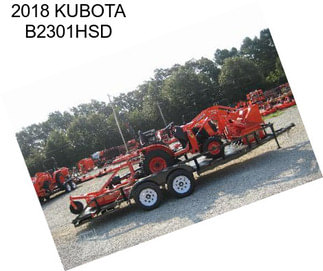 2018 KUBOTA B2301HSD