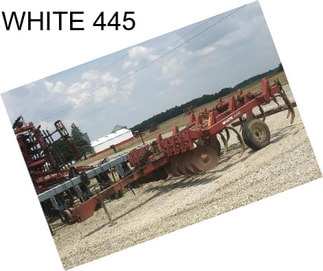 WHITE 445