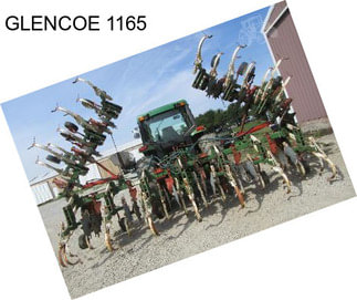 GLENCOE 1165