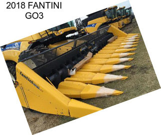 2018 FANTINI GO3