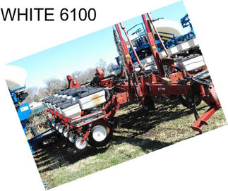 WHITE 6100