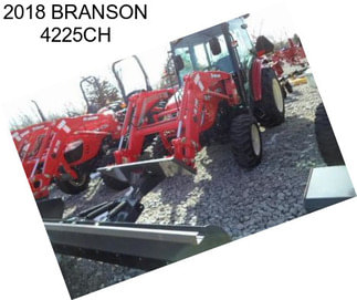 2018 BRANSON 4225CH