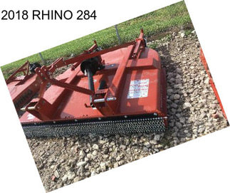 2018 RHINO 284