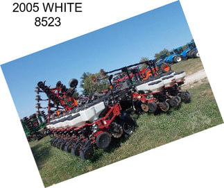 2005 WHITE 8523