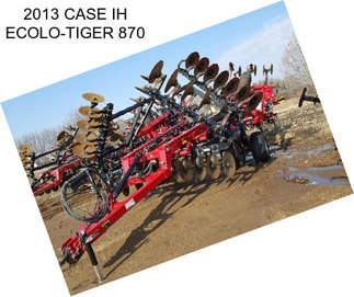 2013 CASE IH ECOLO-TIGER 870