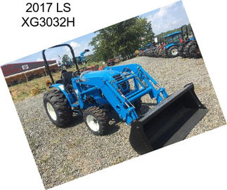 2017 LS XG3032H