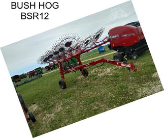 BUSH HOG BSR12