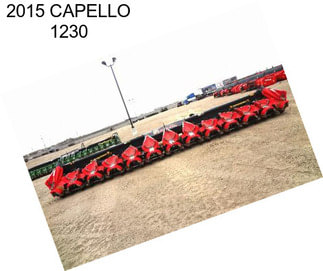 2015 CAPELLO 1230