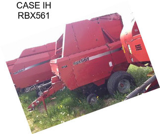 CASE IH RBX561