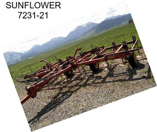 SUNFLOWER 7231-21