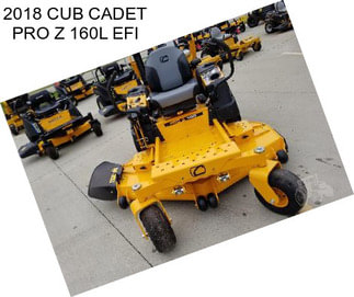 2018 CUB CADET PRO Z 160L EFI