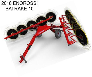 2018 ENOROSSI BATRAKE 10