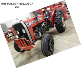 1985 MASSEY-FERGUSON 250