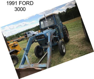 1991 FORD 3000