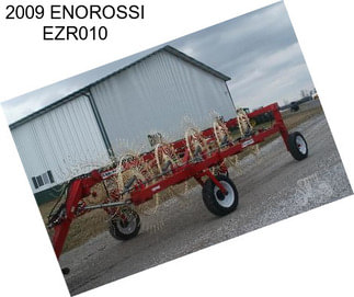 2009 ENOROSSI EZR010