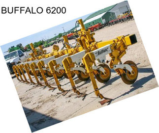 BUFFALO 6200