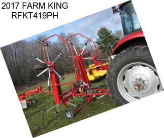 2017 FARM KING RFKT419PH