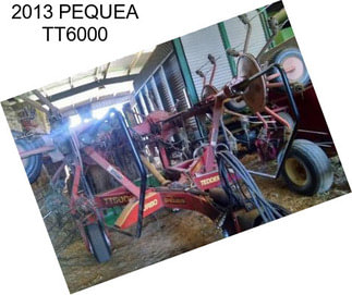 2013 PEQUEA TT6000