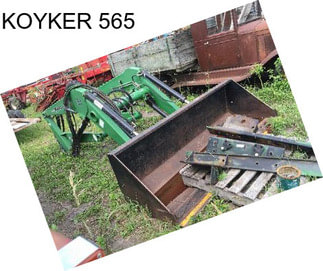 KOYKER 565