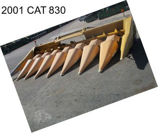 2001 CAT 830