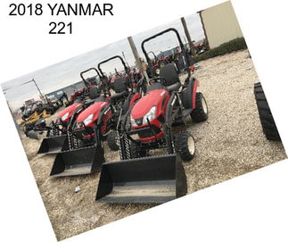 2018 YANMAR 221