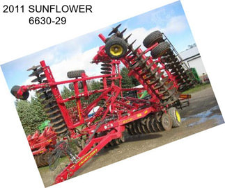 2011 SUNFLOWER 6630-29