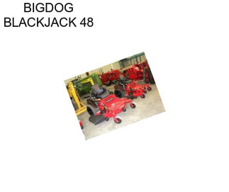 BIGDOG BLACKJACK 48