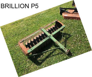 BRILLION P5