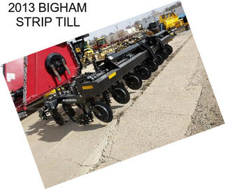 2013 BIGHAM STRIP TILL