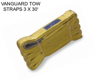 VANGUARD TOW STRAPS 3\