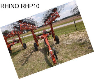 RHINO RHP10