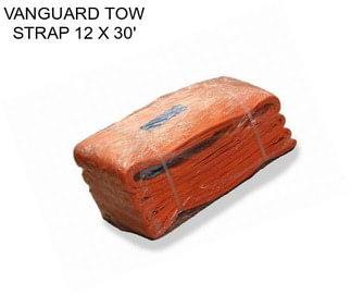 VANGUARD TOW STRAP 12\