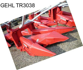 GEHL TR3038