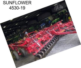 SUNFLOWER 4530-19