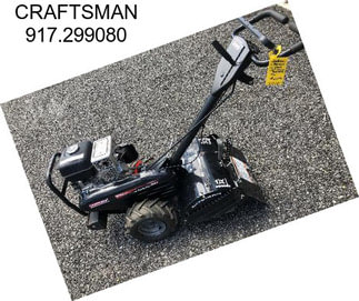 CRAFTSMAN 917.299080