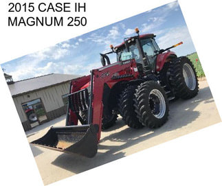 2015 CASE IH MAGNUM 250