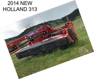 2014 NEW HOLLAND 313