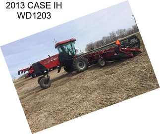 2013 CASE IH WD1203